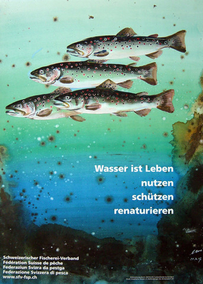 Wasser ist Leben, 2007